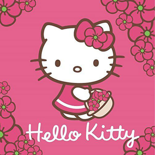Magický ručníček Hello Kitty 30/30